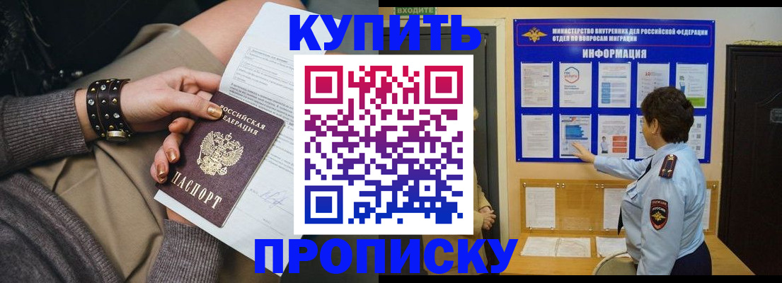 прописка в Новом Осколе